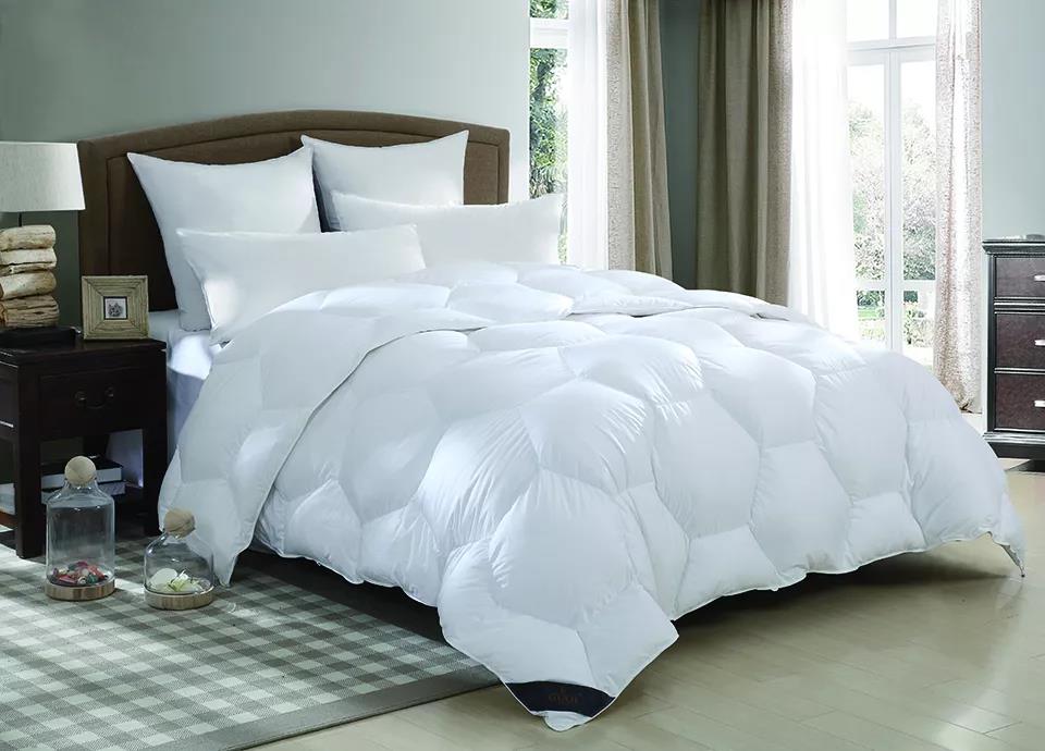 ƷZq˜ʳ_쿴I(mi)ı_˛](mi)