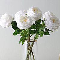 a(chn)Ʒ_0000s_0003_Ʒ|(zh)