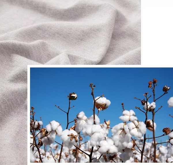 COMOLIVINGƳ~˯ߵęn