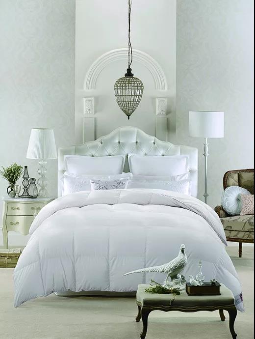 ƷZq˜ʳ_쿴I(mi)ı_˛](mi)