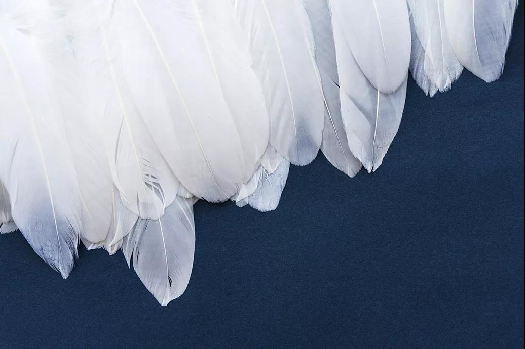 ƷZq˜ʳ_쿴I(mi)ı_˛](mi)