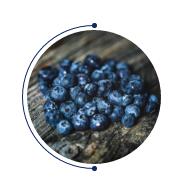 ̫(yng)ƳƷ--2020֮(jng)䡰{ϵ