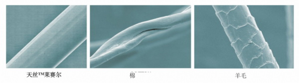 cpM(mn)ҼҾmz™ƷwS